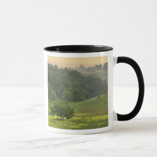 Single in landwirtschaftlichen Nutzflächen, Toskan Tasse