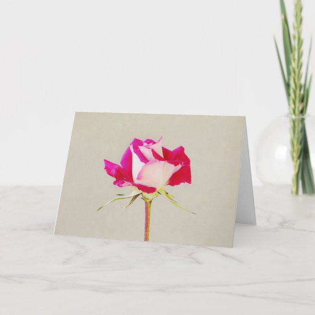 Single Künstlerisch Rosa Rosa Kunstrasenkarte Karte (Vorderseite)