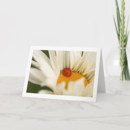 Single Ladybug Blank-Grußkarte Karte