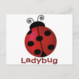 Single Ladybug Postkarte