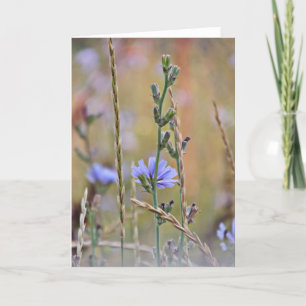Single Lila Blume ~ Grußkarte Karte