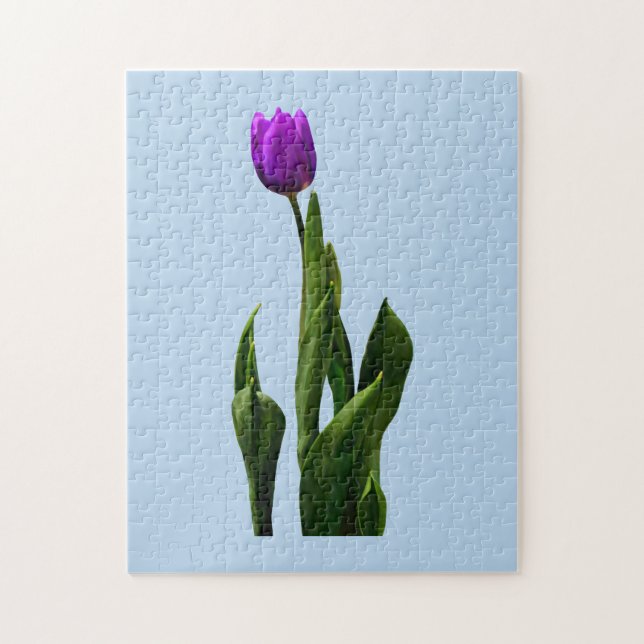 Single Lila Tulip (Vertikal)