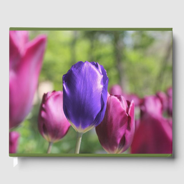 Single Lila Tulip Gästebuch (Vorderseite)