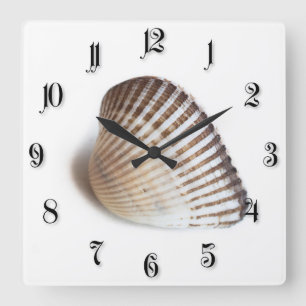 Single-Muschel Quadratische Wanduhr
