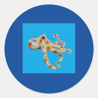 Single Octopus im blauen Hintergrund Runder Aufkleber
