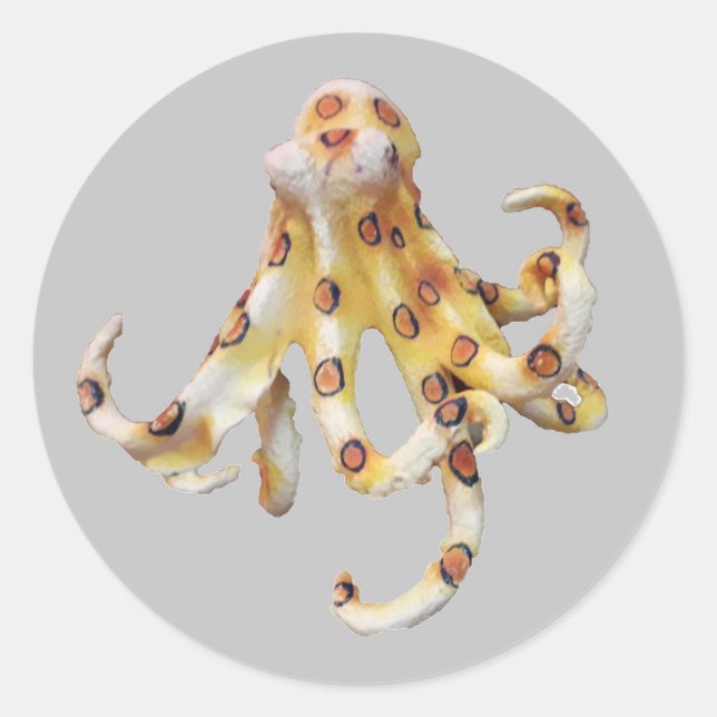 Single Octopus im grauen Hintergrund Runder Aufkleber (Vorderseite)