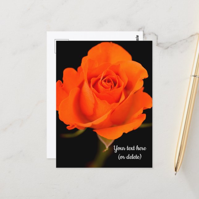 Single Orange Rose Postkarte (Vorderseite/Rückseite Beispiel)
