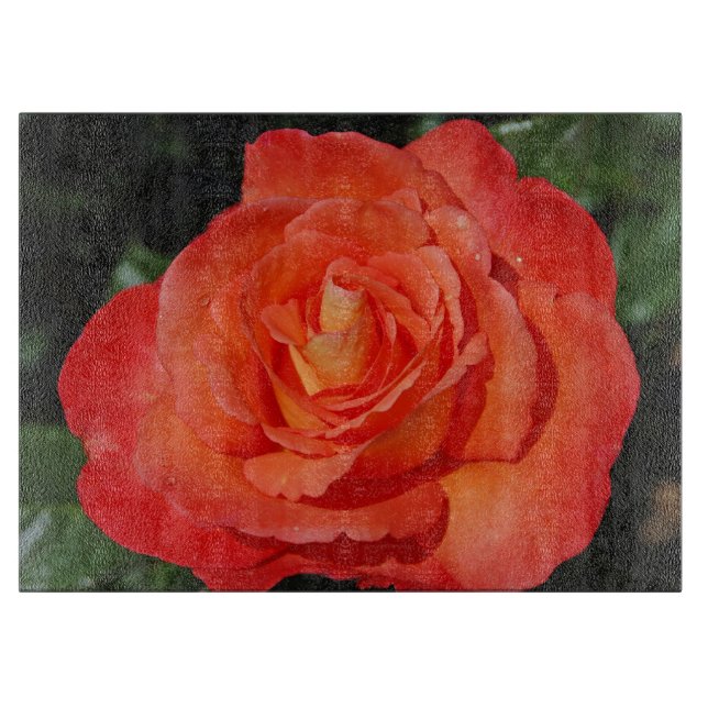 Single Orange Rose Schneidebrett (Vorderseite)