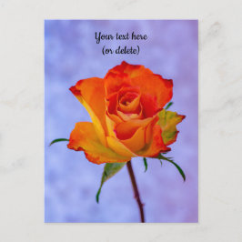 Single Orange und Gelb Rose Postkarte