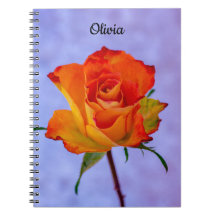 Single Orange und Yellow Rose Spirale Notebook