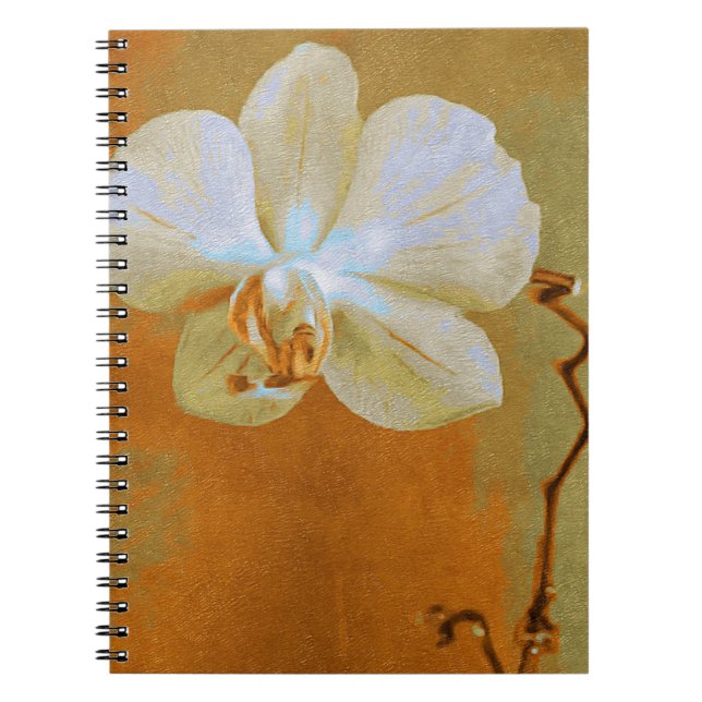 Single Orchid Blume in Schattierungen der orangen  Notizblock (Vorderseite)