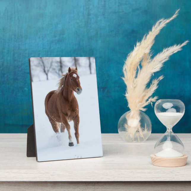 Single Pferd läuft im Schnee Fotoplatte (Seite)
