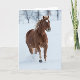 Single Pferd läuft im Schnee Karte