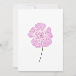 Single Pink Lavatera Einladung