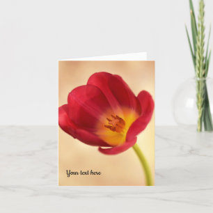 Single Pink Tulip Grußkarte Dankeskarte