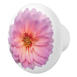 Single Pink Zinnia Blume Keramikknauf