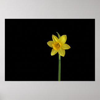 Single Poster