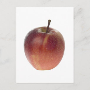 Single Postkarte