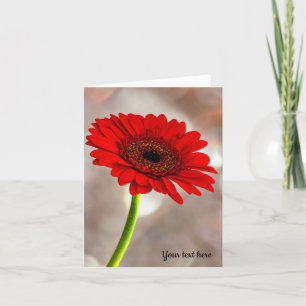 Single Red Gerbera Faltkarte Karte
