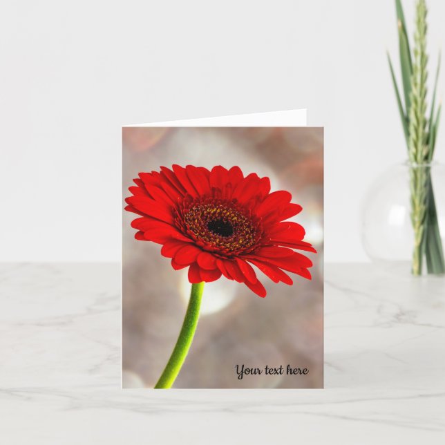 Single Red Gerbera Faltkarte Karte (Vorderseite)