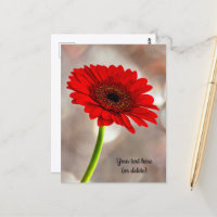 Single Red Gerbera Postcard