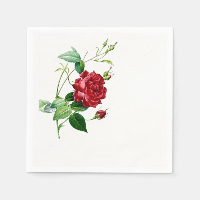 Single Red Redoute Rose Paper Napkins Serviette (Vorderseite)