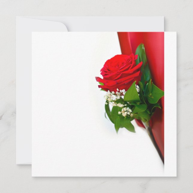 Single Red Rose – Floral White Background Einladung (Vorderseite)