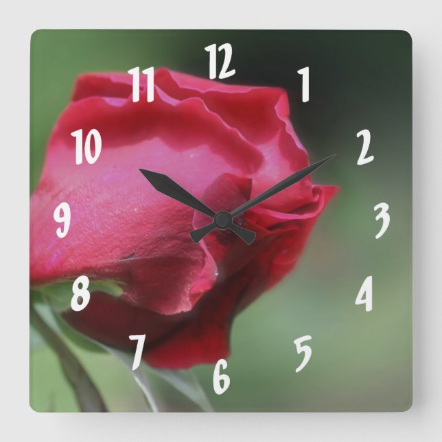 Single Red Rosebud Flower Quadratische Wanduhr (Vorderseite)