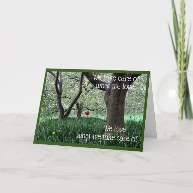 Single Red Tulip für Liebe und Kümmre Karte (Vorderseite)