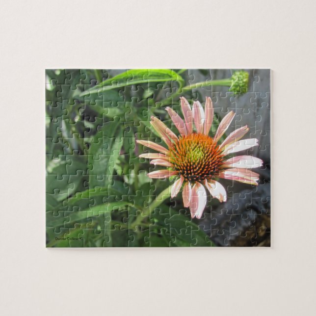 Single Rosa Blume im Gartenpuzzle (Horizontal)