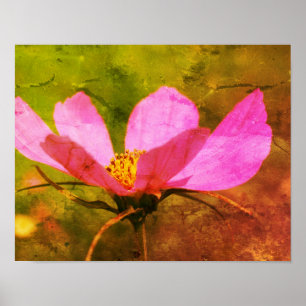 Single Rosa Kosmos Blume gestörte Kunst Poster