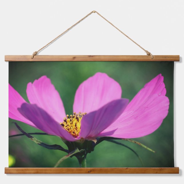 Single Rosa Kosmos Blume im Blut Wandteppich Mit Holzrahmen (Vorne)