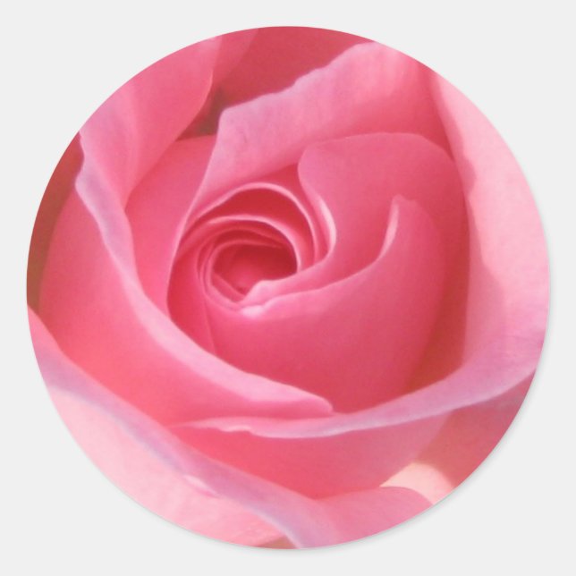 Single Rosa Rose Runder Aufkleber (Vorderseite)