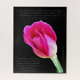 Single rosa Rosenblüte auf schwarz, Korinthians Ve