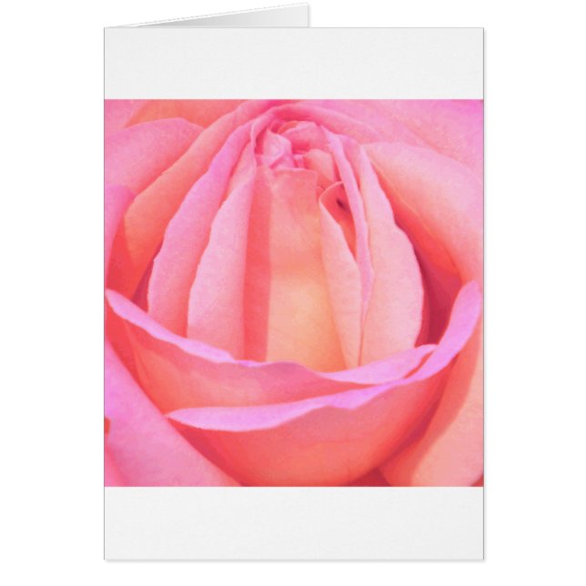 Single Rose_ (Vorne)
