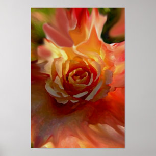 Single-Rose Poster