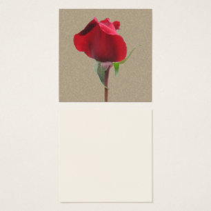 Single rote Rose
