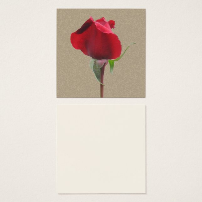 Single rote Rose (Vorne & Hinten)