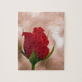 Single Rote Rose