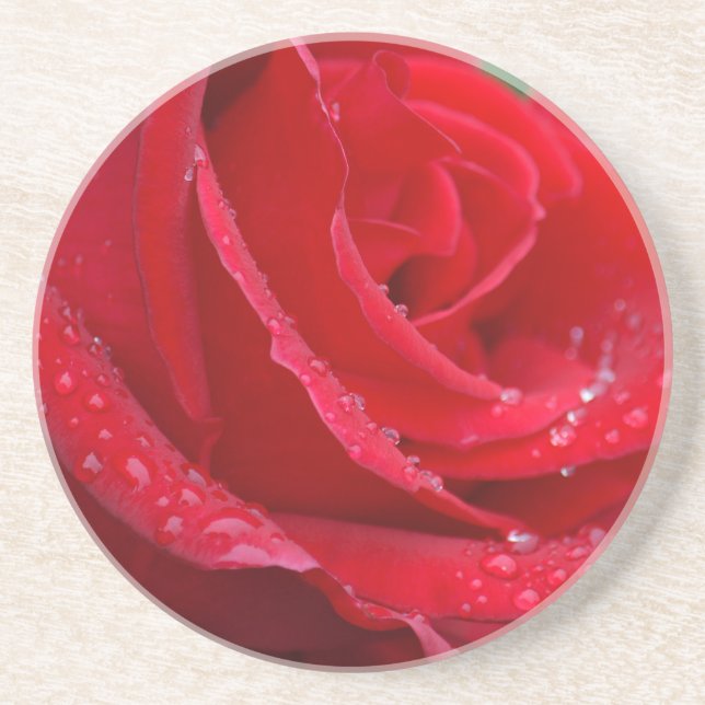 Single rote Rose blüht Getränkeuntersetzer (Vorne)