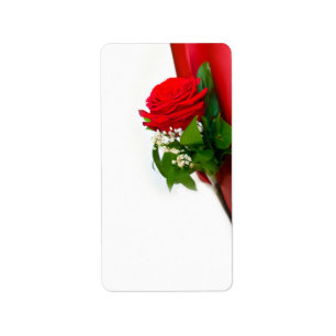 Single Rote Rose - Blumenweißer Hintergrund Adressaufkleber