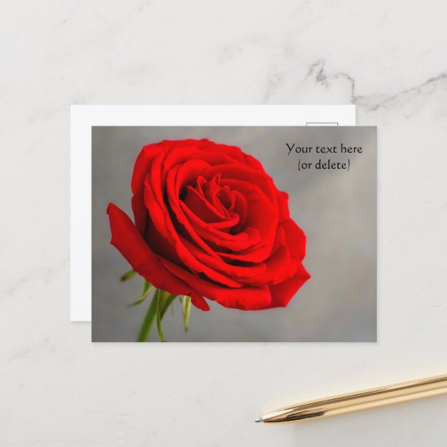 Single Rote Rose Postkarte (Vorderseite/Rückseite Beispiel)