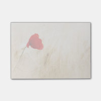 Single Roter Mohn auf einem grasbewachsenen Feld