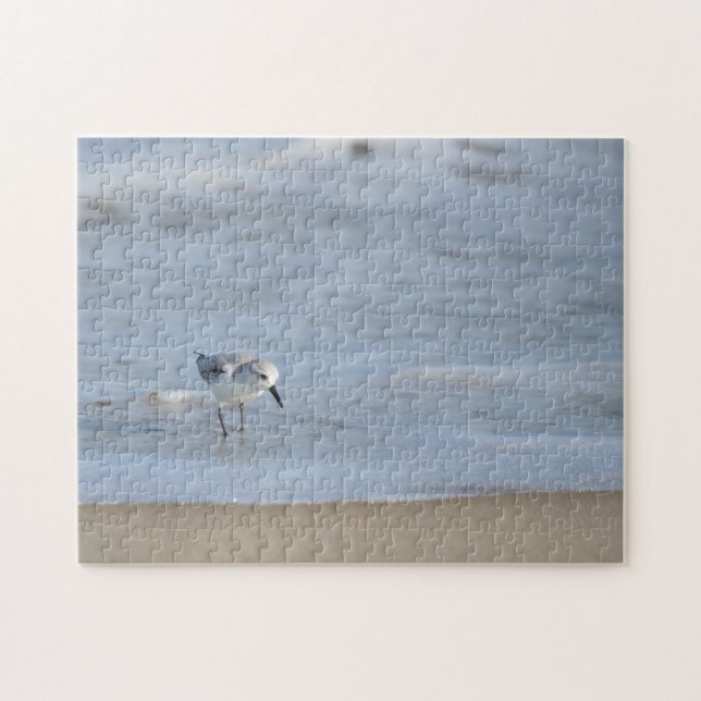 Single Sandpiper walking on beach  (Horizontal)