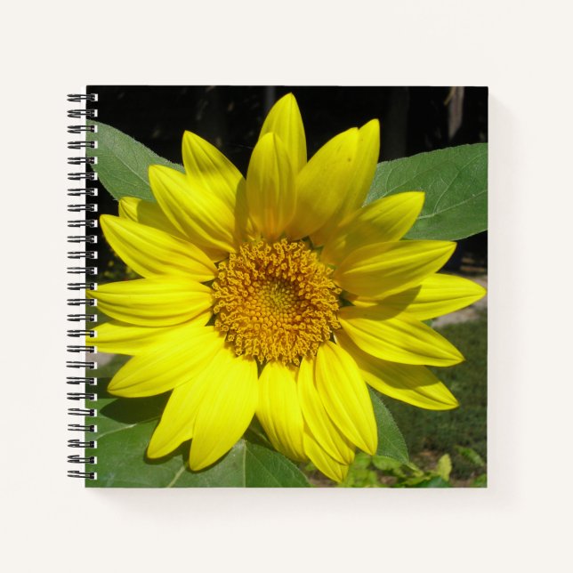 Single Sonnenblume Notizbuch (Vorderseite)