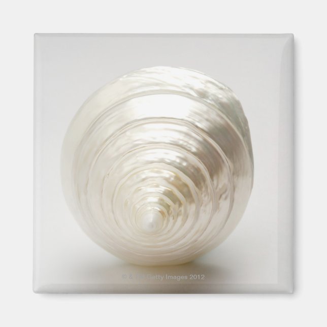 Single Spiralseashell Magnet (Vorne)