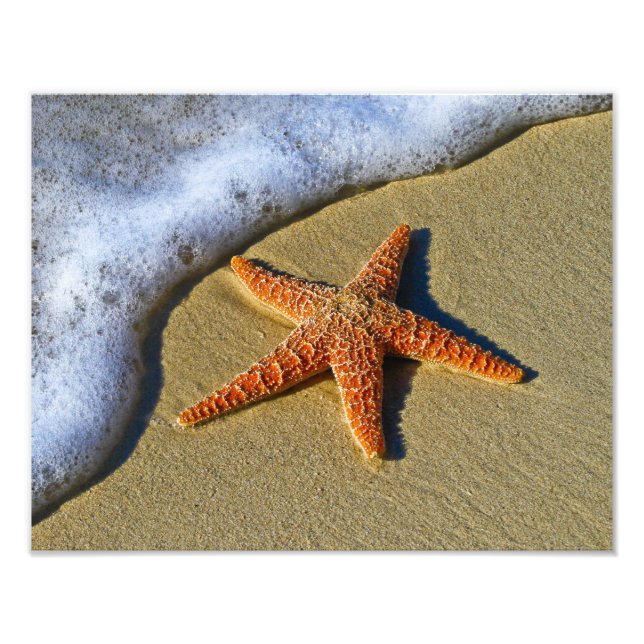 Single Starfish am Strand Fotodruck (Vorne)
