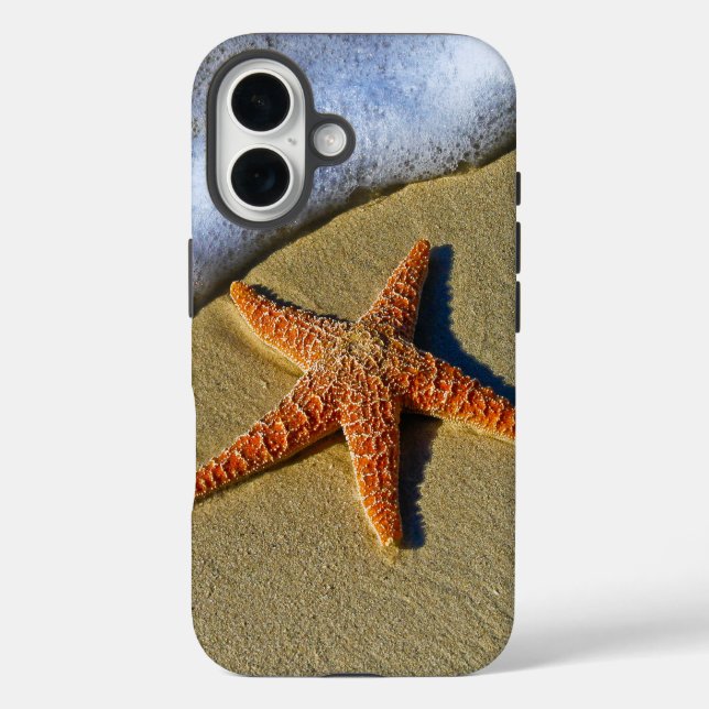 Single Starfish am Strand iPhone 16 Hülle (Rückseite)