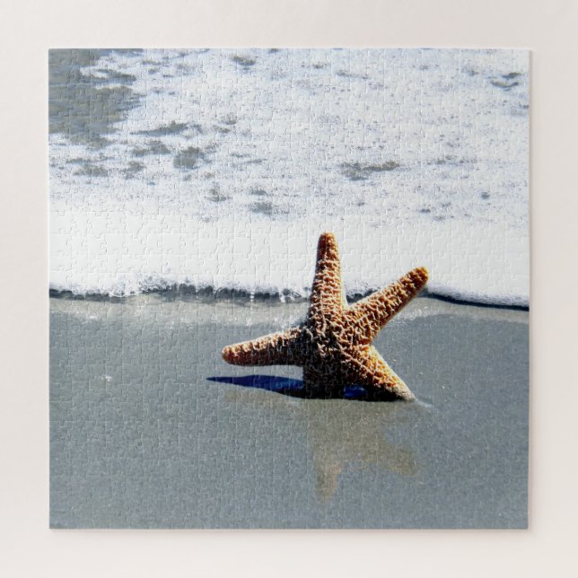 Single Starfish Washed Ashore (Vertikal)