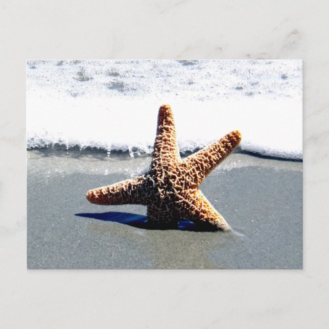 Single Starfish Washed Ashore Postkarte (Vorderseite)